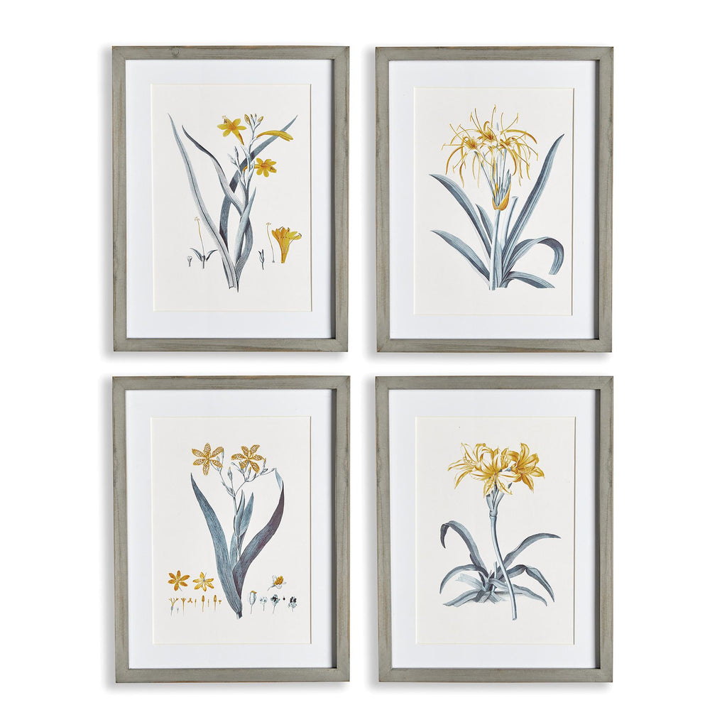 Napa Grey/Yellow Daffodil Prints, Set Of 4