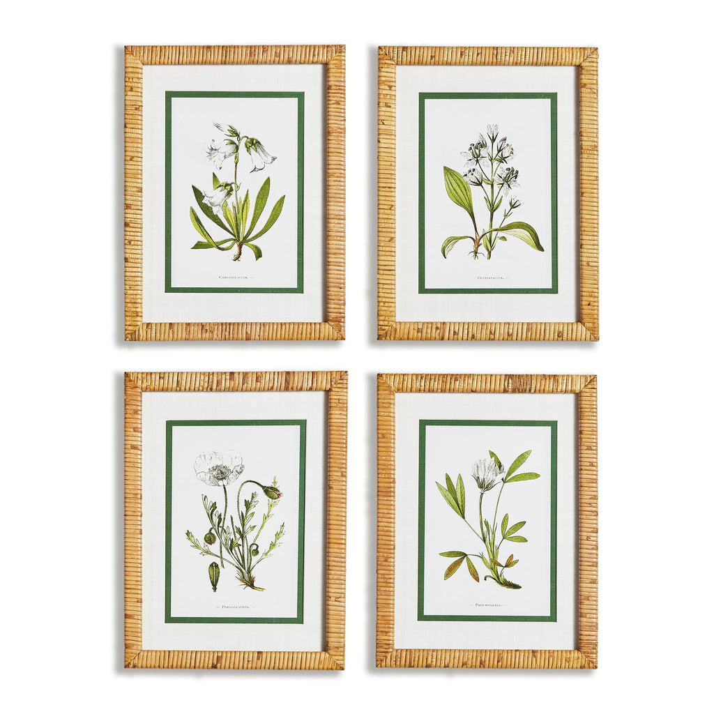 Napa Natural/Green White Floral Study, Set Of 4