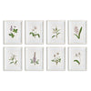 Napa White/Green/Purple Flowers In Bloom Petite Prints, Set Of 8