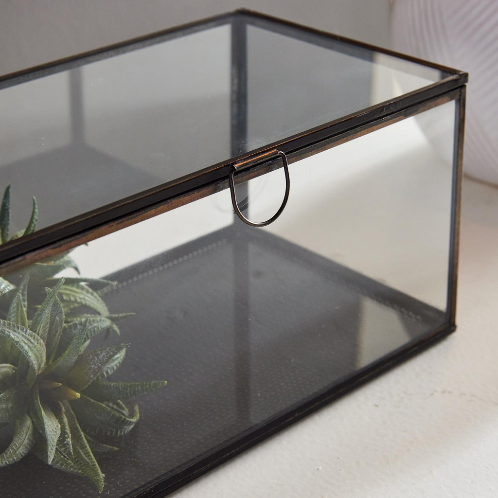 Napa Black Arwen Rectangular Display Box