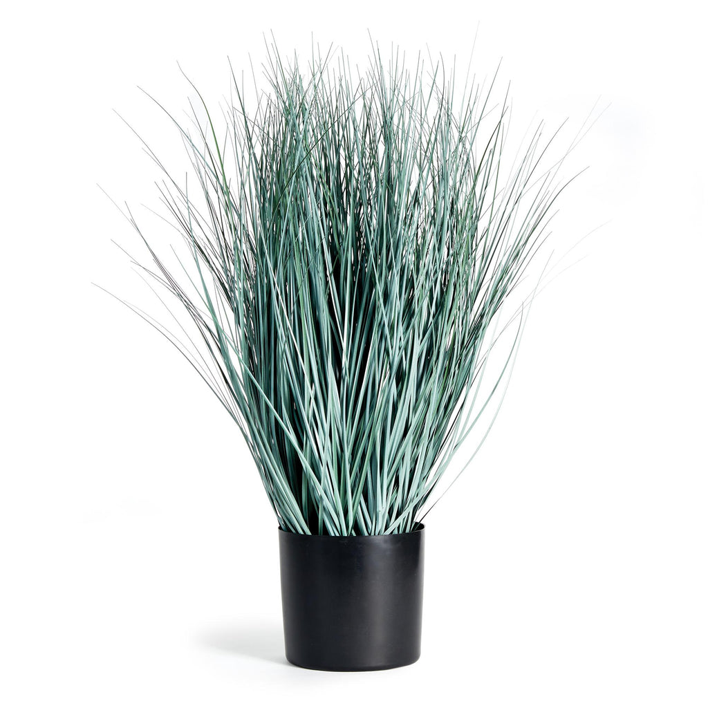 Napa BlueGreen Blue Oat Grass Drop-In 32"