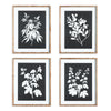 Napa Greywash/Black Monochrome Botanical Prints, Set Of 4