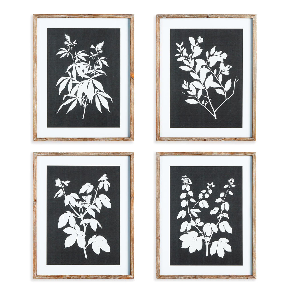 Napa Greywash/Black Monochrome Botanical Prints, Set Of 4