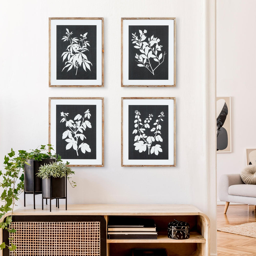 Napa Greywash/Black Monochrome Botanical Prints, Set Of 4