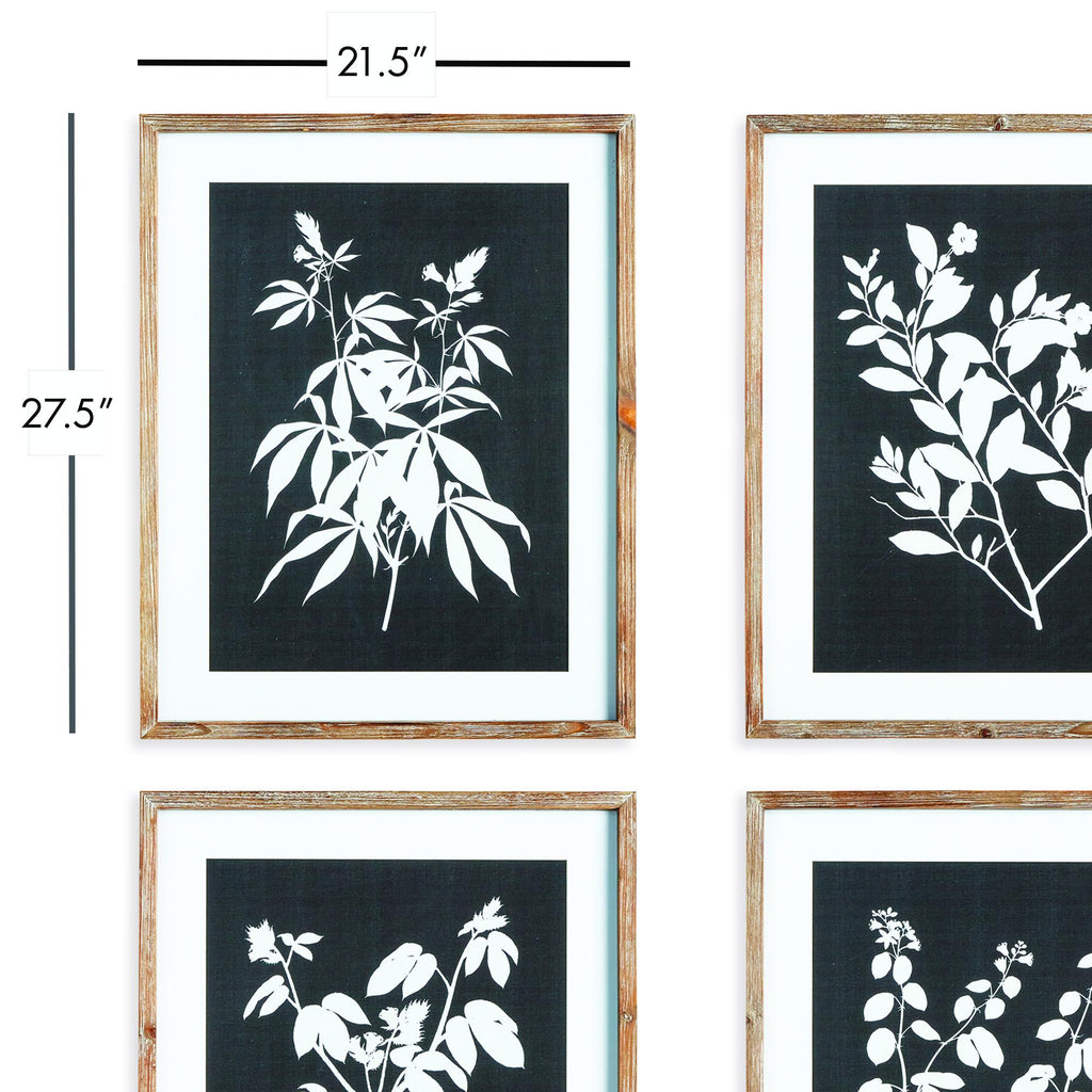 Napa Greywash/Black Monochrome Botanical Prints, Set Of 4