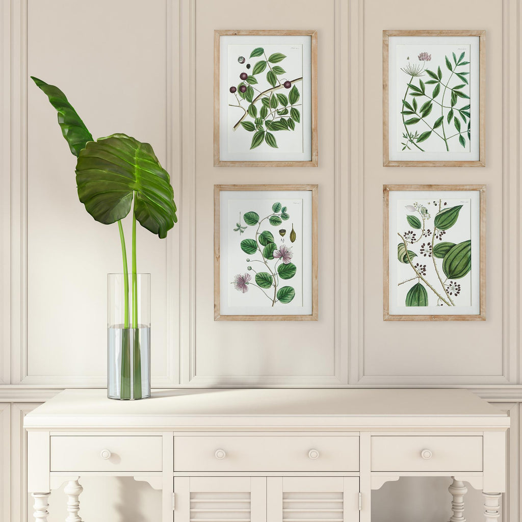 Napa Natural/Green Verdant Branch Prints, Set Of 4