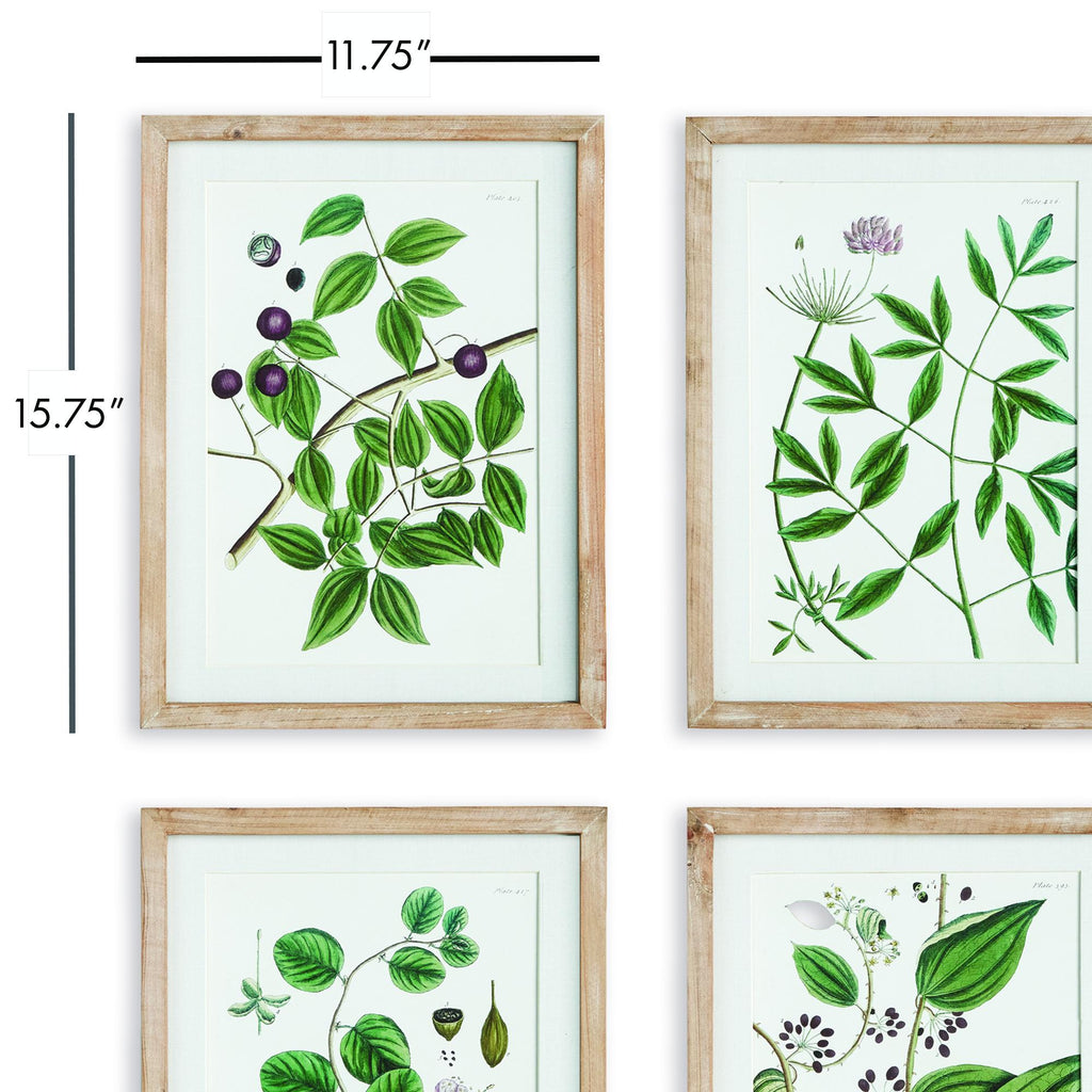 Napa Natural/Green Verdant Branch Prints, Set Of 4