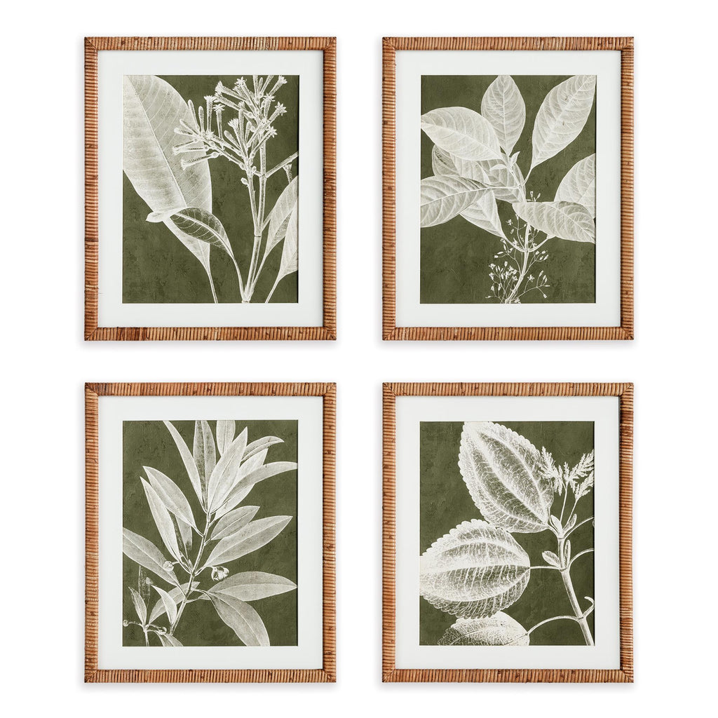 Napa Natural/Green Translucent Stem Prints, Set Of 4