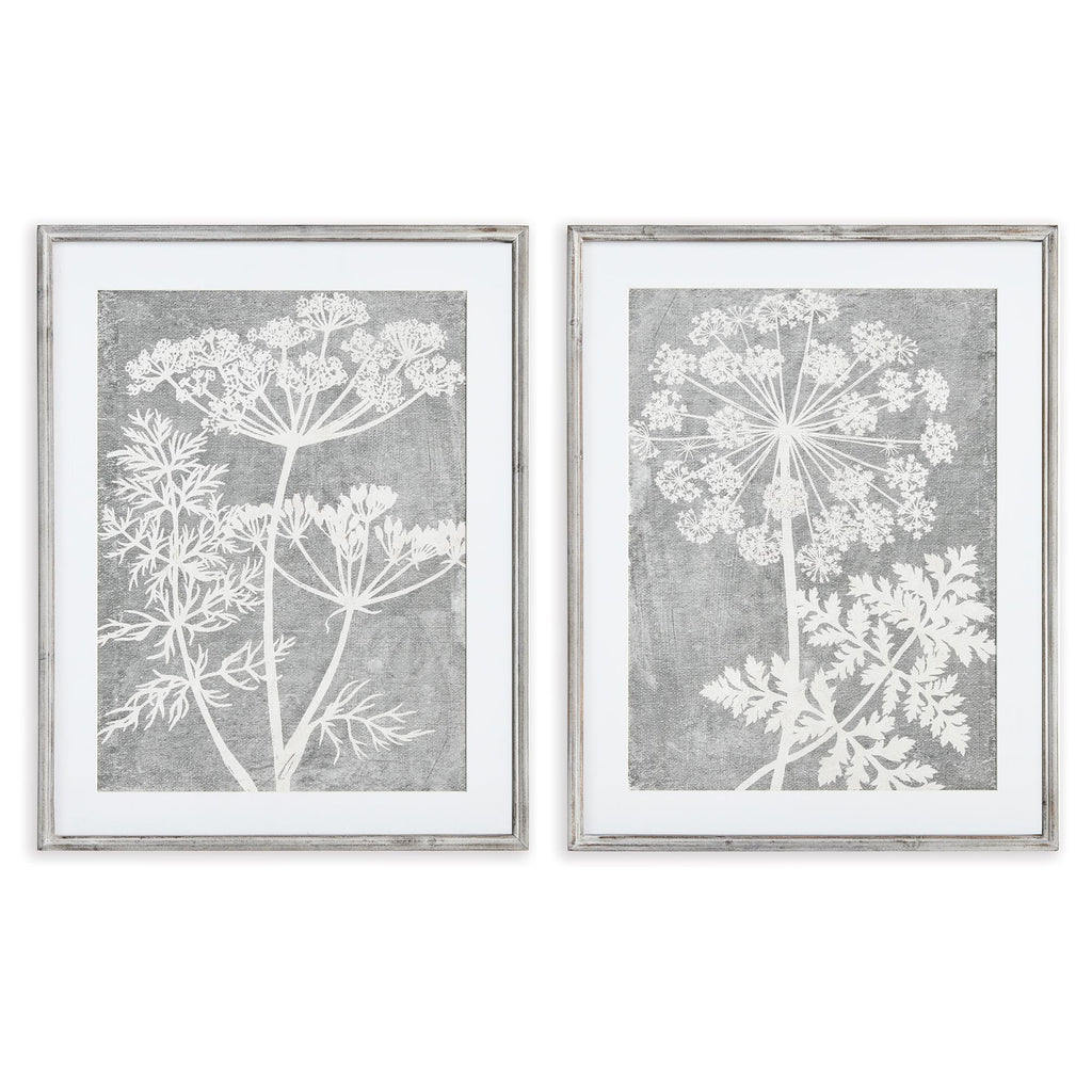 Napa Gray Blooming Queen Anne'S Lace Prints, Set Of 2