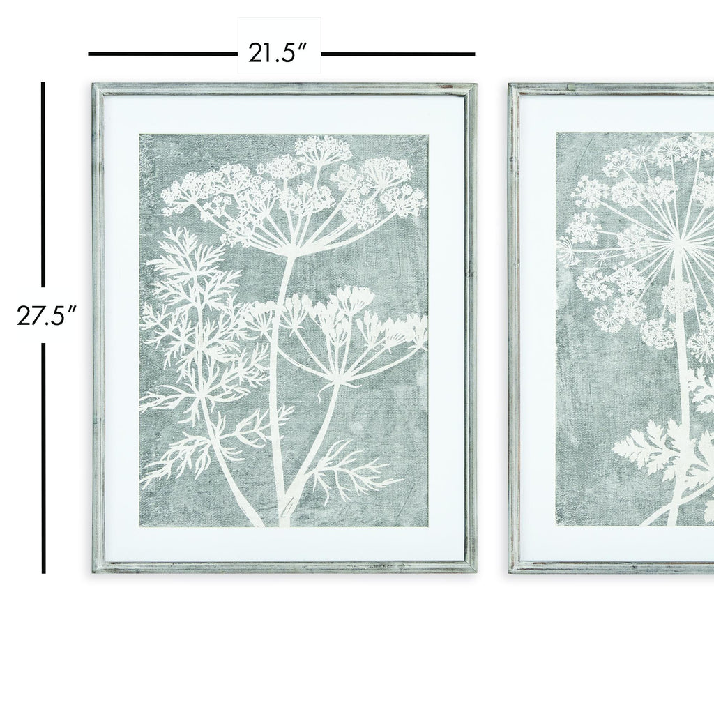 Napa Gray Blooming Queen Anne'S Lace Prints, Set Of 2