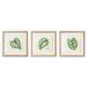 Napa Natural/Green Leaf Cuttings Petite Prints, Set Of 3