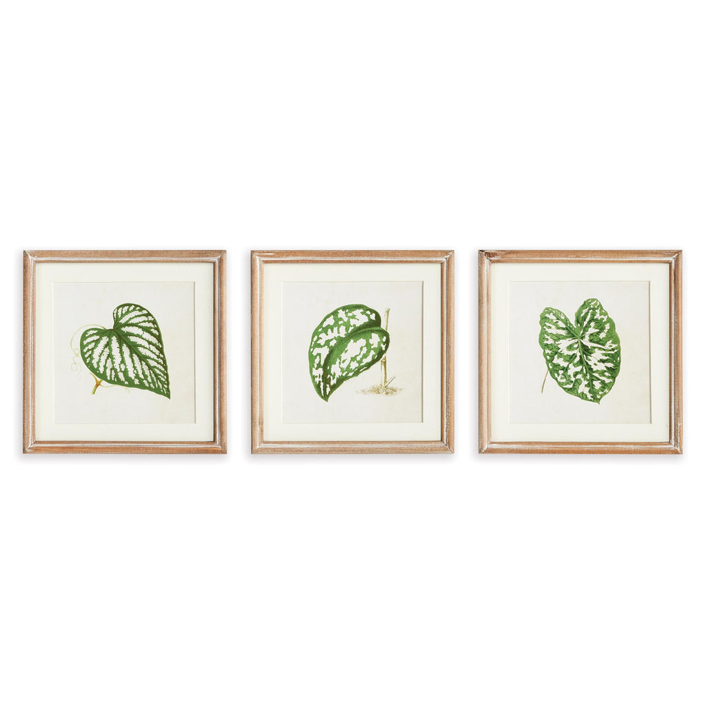 Napa Natural/Green Leaf Cuttings Petite Prints, Set Of 3