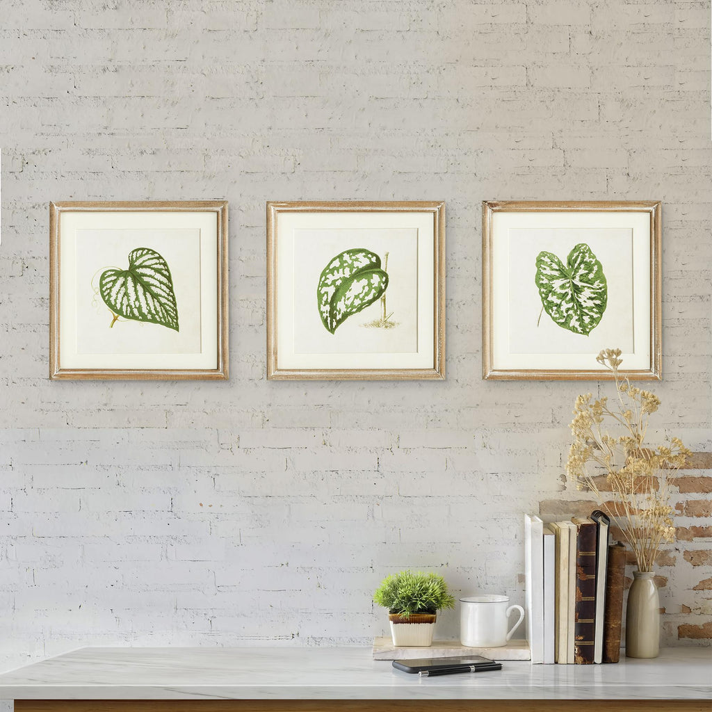 Napa Natural/Green Leaf Cuttings Petite Prints, Set Of 3