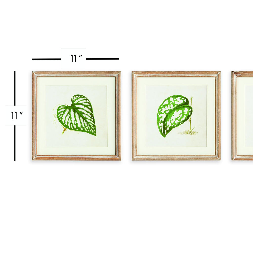 Napa Natural/Green Leaf Cuttings Petite Prints, Set Of 3