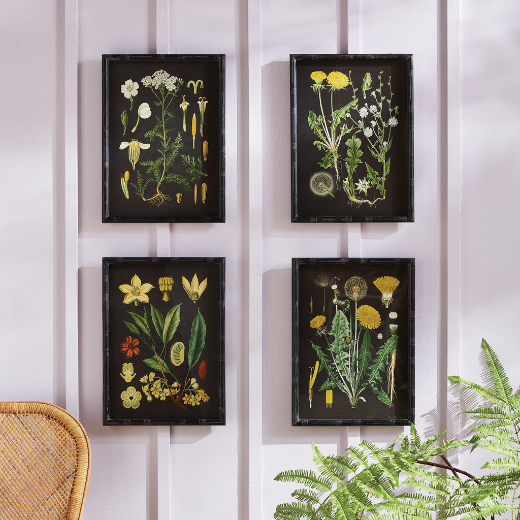 Napa Black/Yellow Golden Botanical Study, Set Of 4