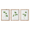 Napa Natural/Green Clover Cuttings Petite Prints, Set Of 3