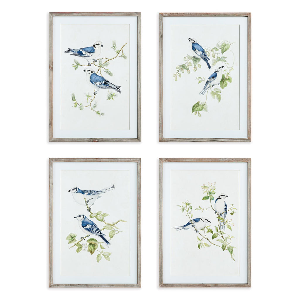 Napa Graywash/Blue Blue Birds Prints, Set Of 4