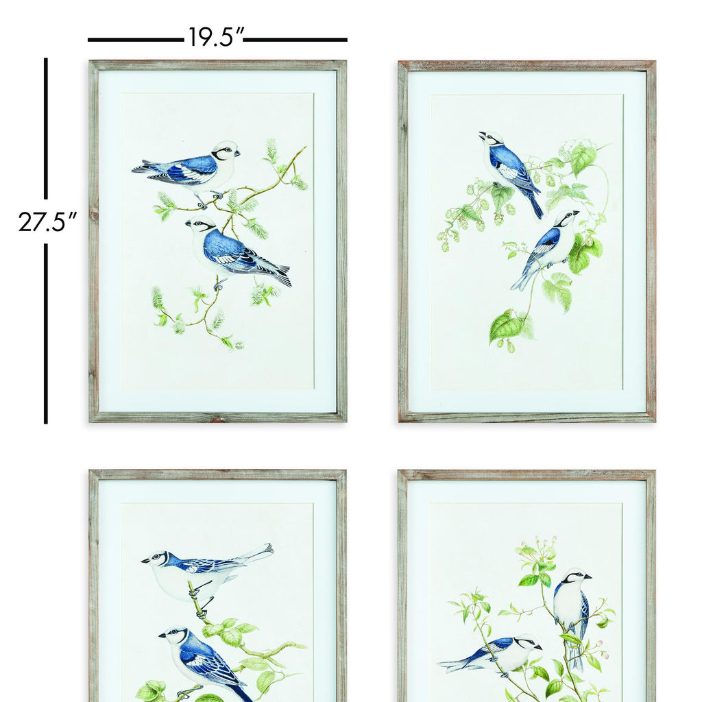 Napa Graywash/Blue Blue Birds Prints, Set Of 4