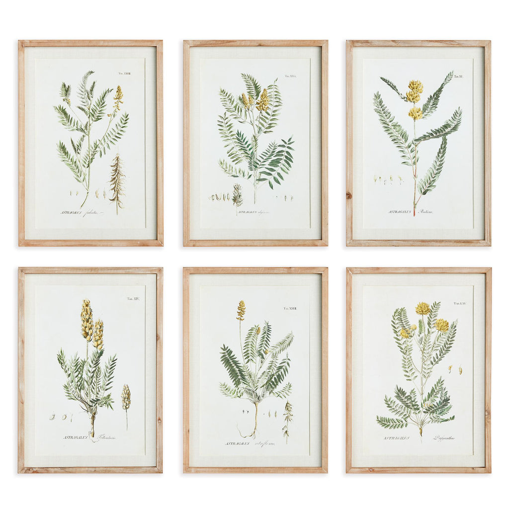 Napa Whitewashed/Yellow Mid-Summer Blooms Prints, Set Of 6