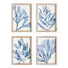 Napa Blue/White Marine Prints, Set Of 4