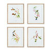 Napa Natural/Blue Playful Hummingbird Prints, Set Of 4