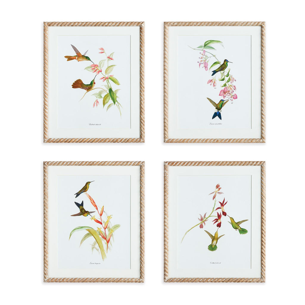 Napa Natural/Blue Playful Hummingbird Prints, Set Of 4