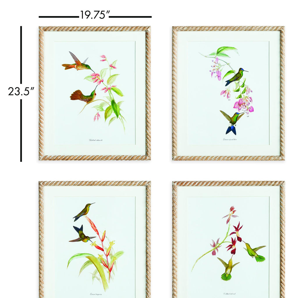 Napa Natural/Blue Playful Hummingbird Prints, Set Of 4