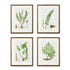 Napa Black/Green Structural Fern Study, Set Of 4