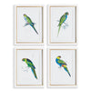 Napa White/Green Colorful Parrots Prints St/4