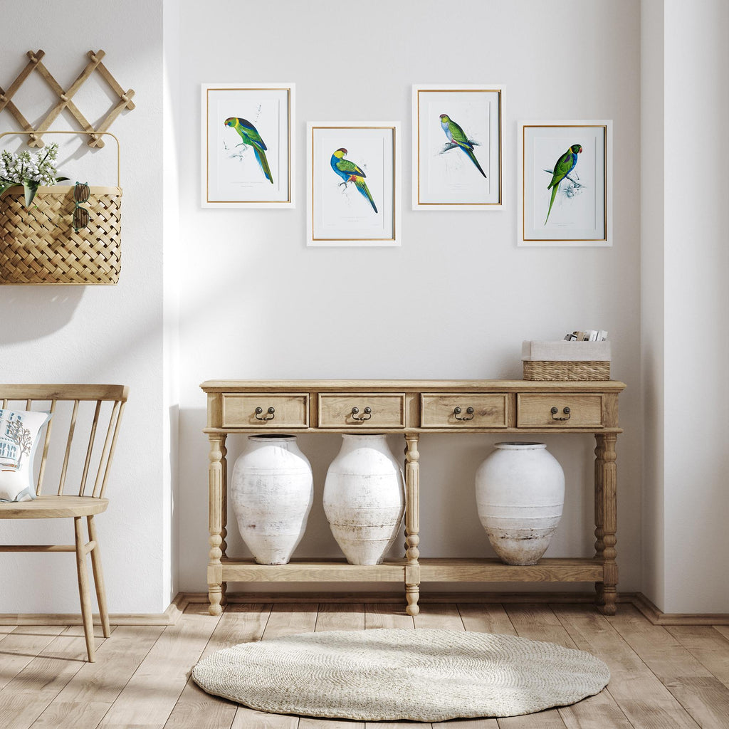 Napa White/Green Colorful Parrots Prints St/4