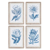 Napa Natural/Blue Indigo Protea Prints St/4