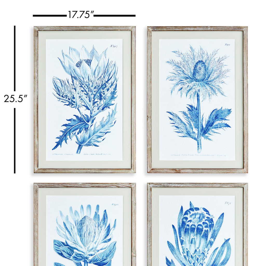 Napa Natural/Blue Indigo Protea Prints St/4