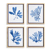 Napa Natural/Blue Indigo Seaweed Prints St/4