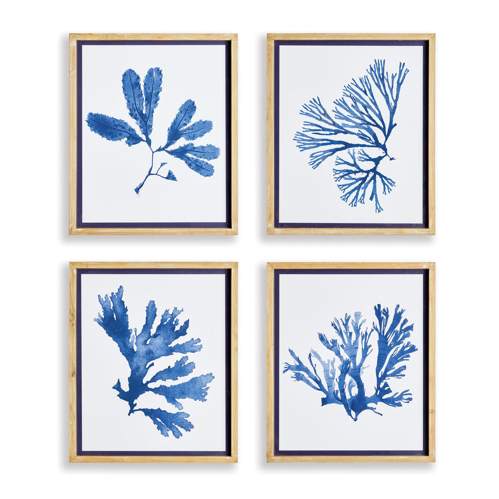 Napa Natural/Blue Indigo Seaweed Prints St/4