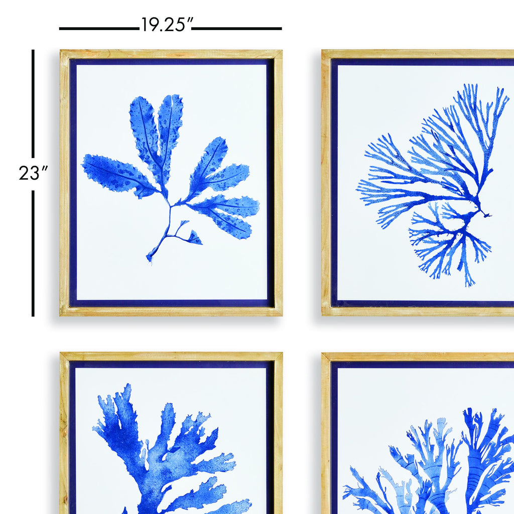 Napa Natural/Blue Indigo Seaweed Prints St/4