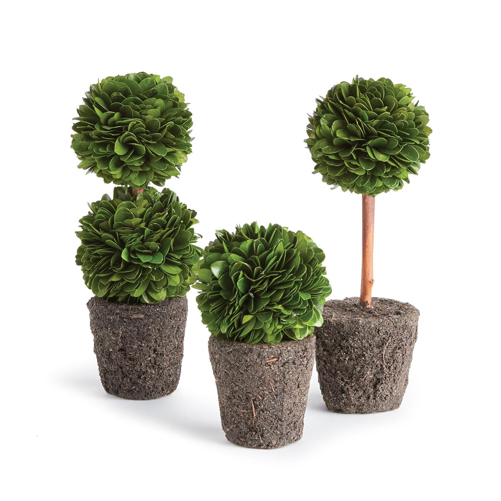 Napa Green Boxwood Mini Topiary Drop-Ins, Set Of 3