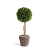 Napa Green Boxwood Single Sphere Topiary Drop-In 16