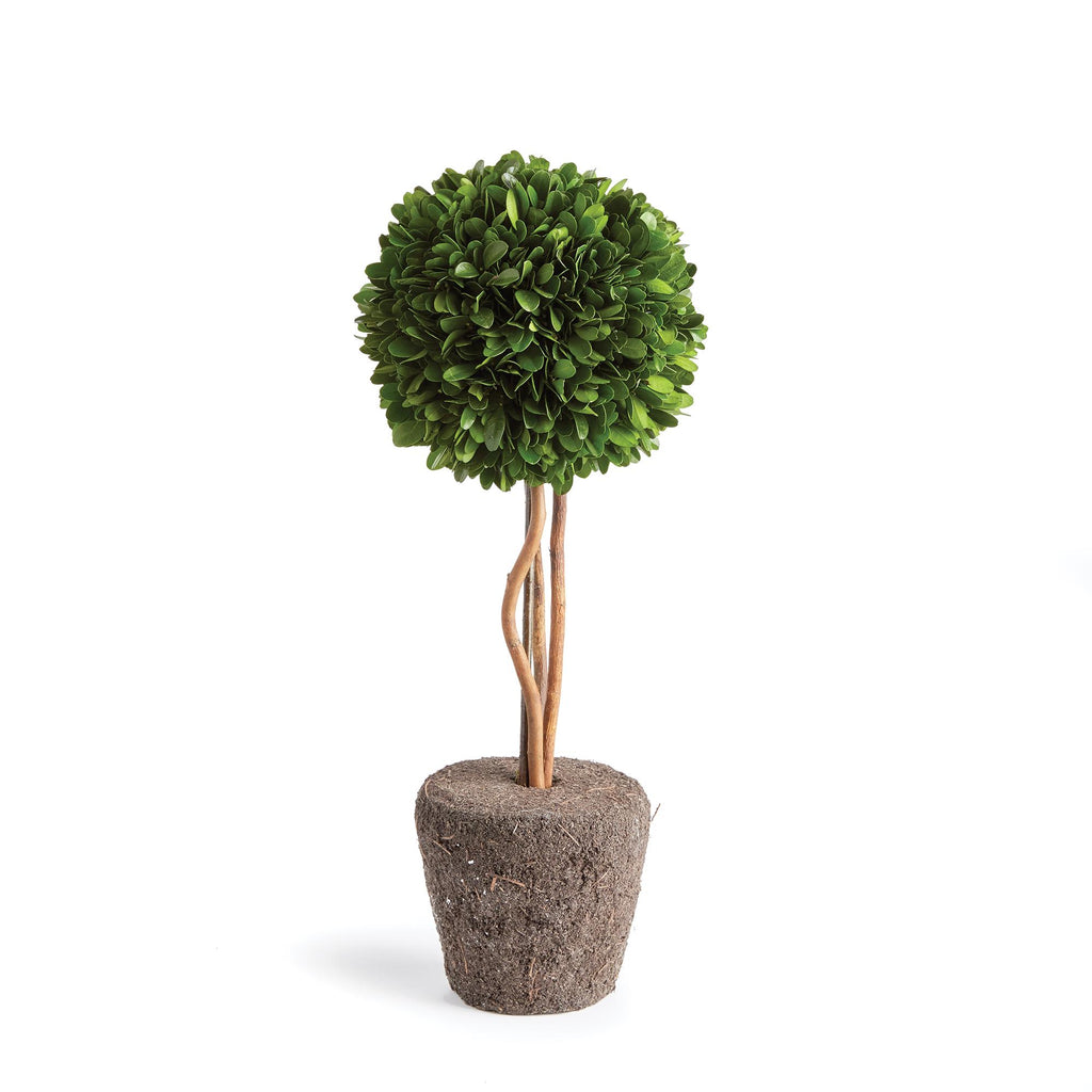 Napa Green Boxwood Single Sphere Topiary Drop-In 16"