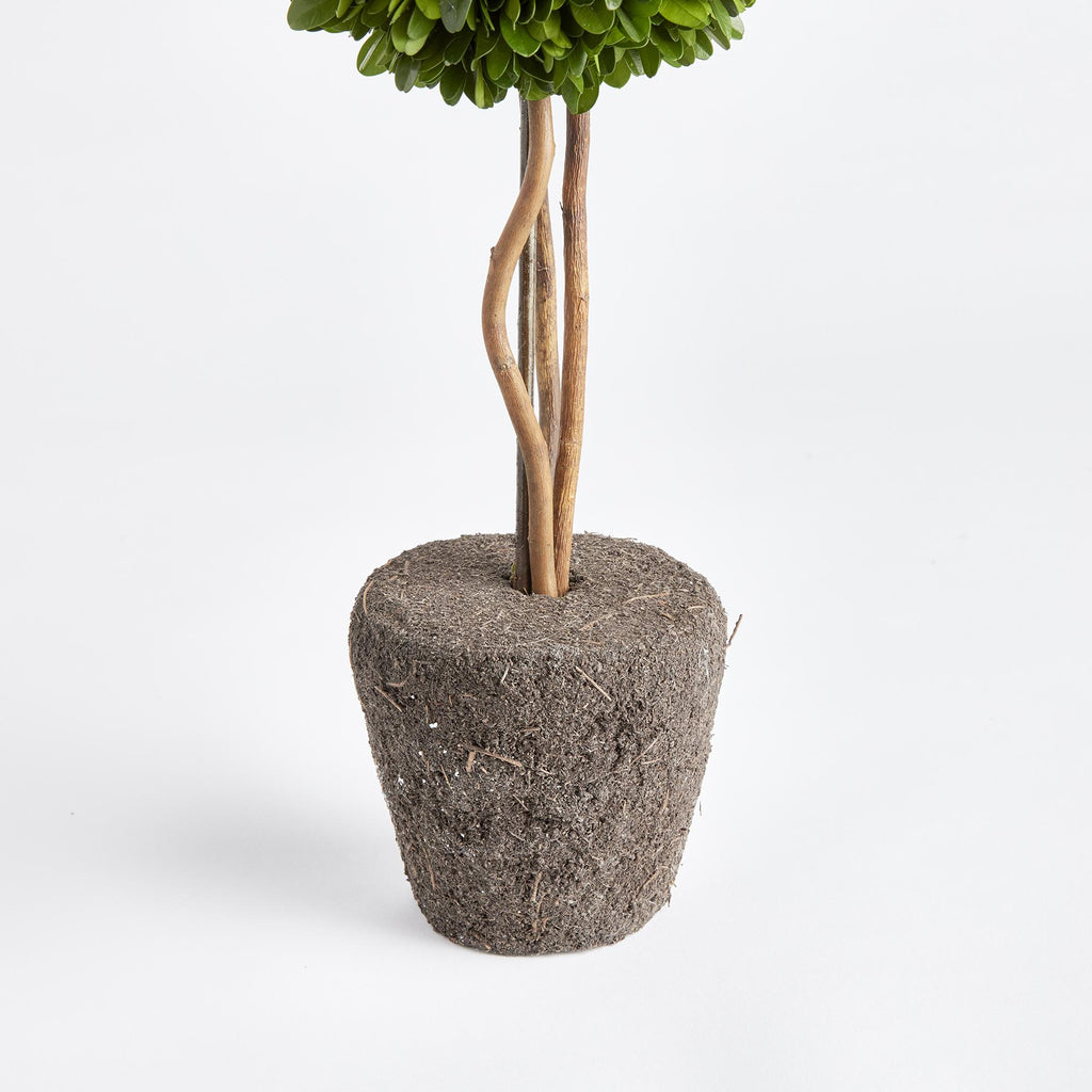 Napa Green Boxwood Single Sphere Topiary Drop-In 16"