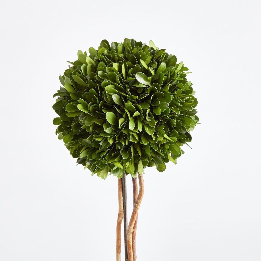 Napa Green Boxwood Single Sphere Topiary Drop-In 24"