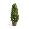 Napa Green Boxwood Cone Topiary Drop-In 12