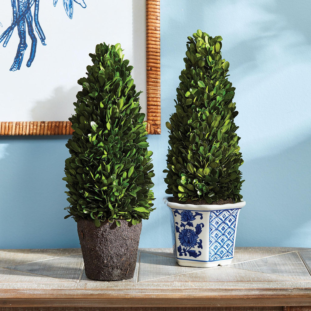 Napa Green Boxwood Cone Topiary Drop-In 16"