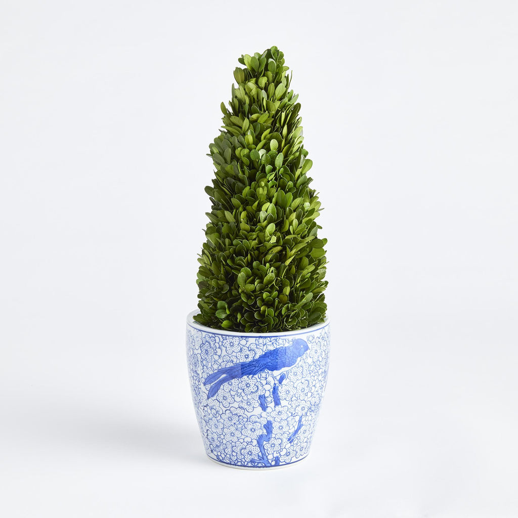 Napa Green Boxwood Cone Topiary Drop-In 16"