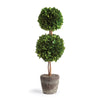 Napa Green Boxwood Double Sphere Topiary Drop-In 20