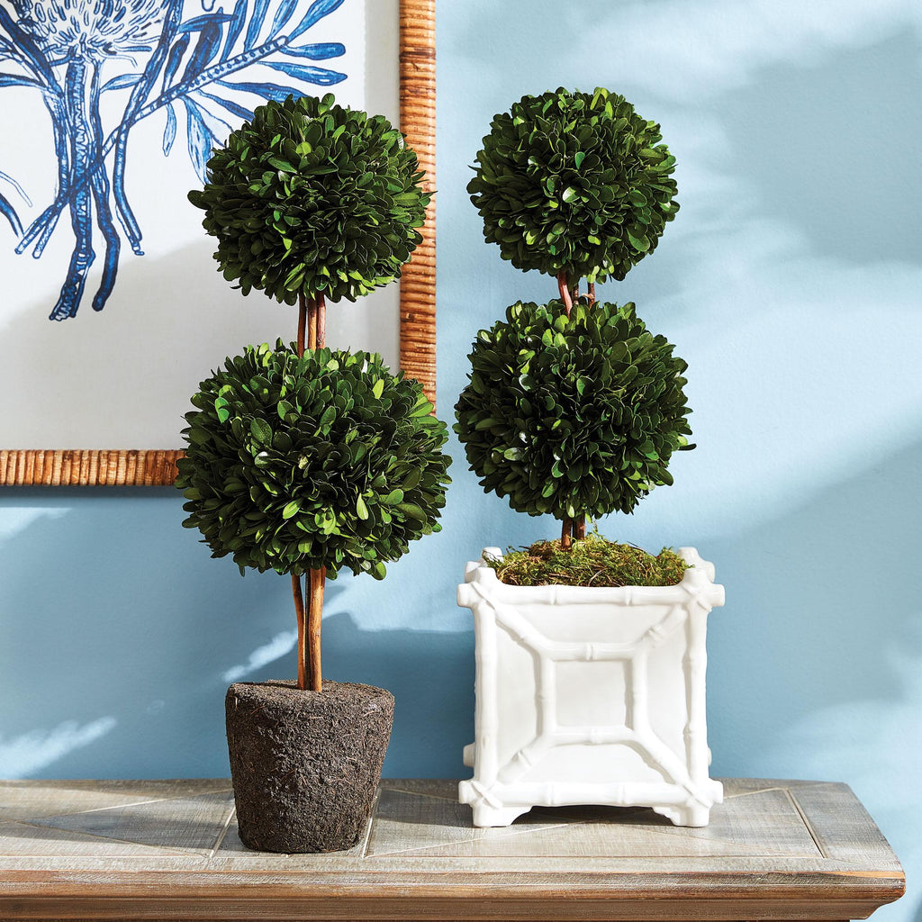 Napa Green Boxwood Double Sphere Topiary Drop-In 20"