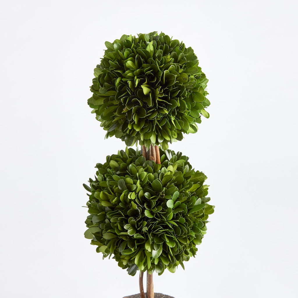 Napa Green Boxwood Double Sphere Topiary Drop-In 20"