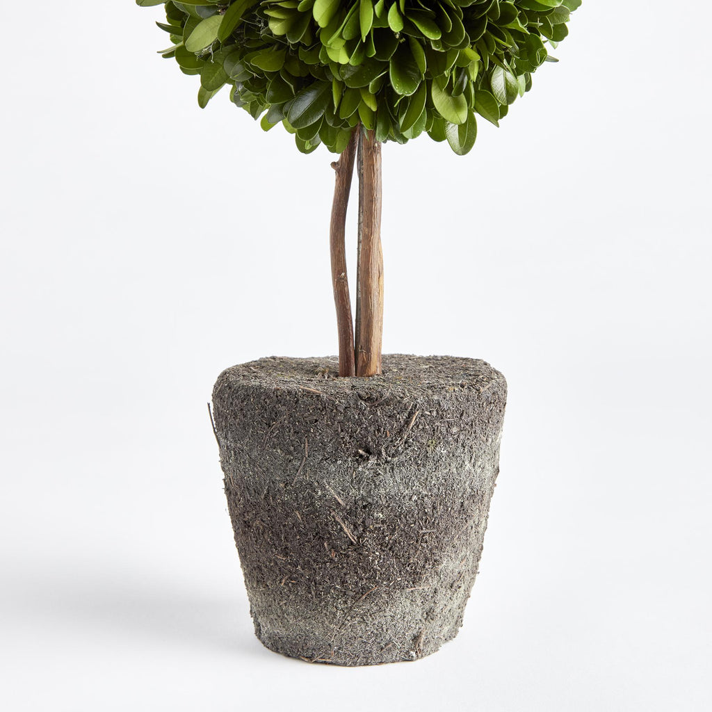 Napa Green Boxwood Double Sphere Topiary Drop-In 20"