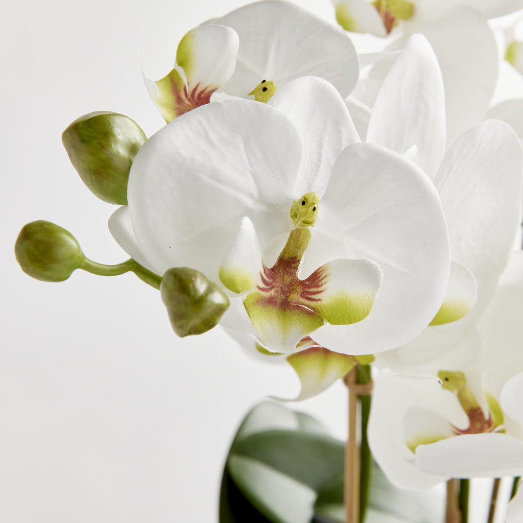 Napa White Phalaenopsis Orchid Bowl Drop-In 18.5"