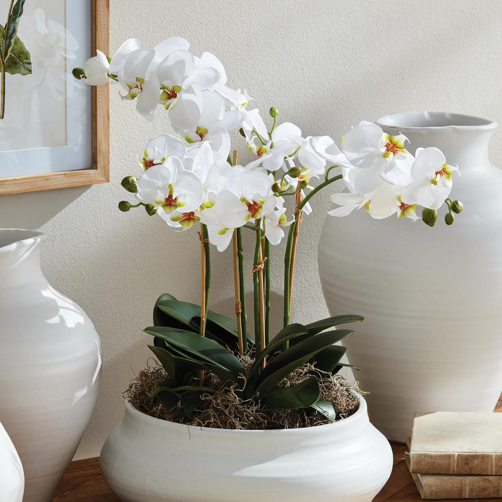 Napa White Phalaenopsis Orchid Bowl Drop-In 18.5"