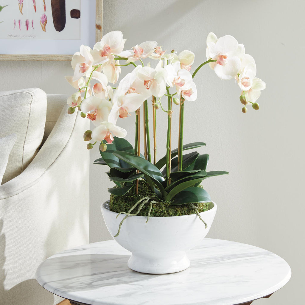 Napa Blush & pale pink shaded graidents Phalaenopsis Orchid Bowl Drop-In 18.5"